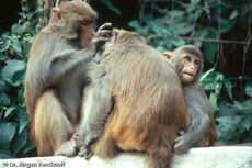 Nepal (49 von 124).jpg